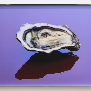 Marina Cavadini, Eat Me. Courtesy of The Address Gallery