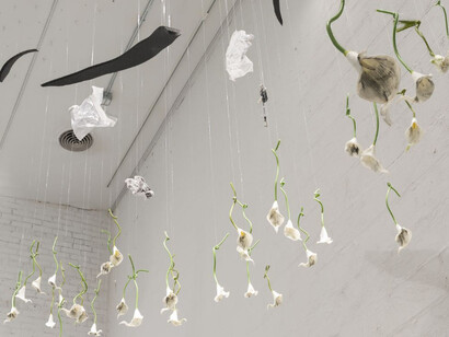Hayden Dunham, Never is over, exhibition view. Courtesy of Company Gallery