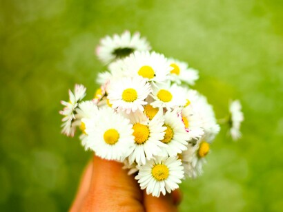 Que no cunda el desánimo