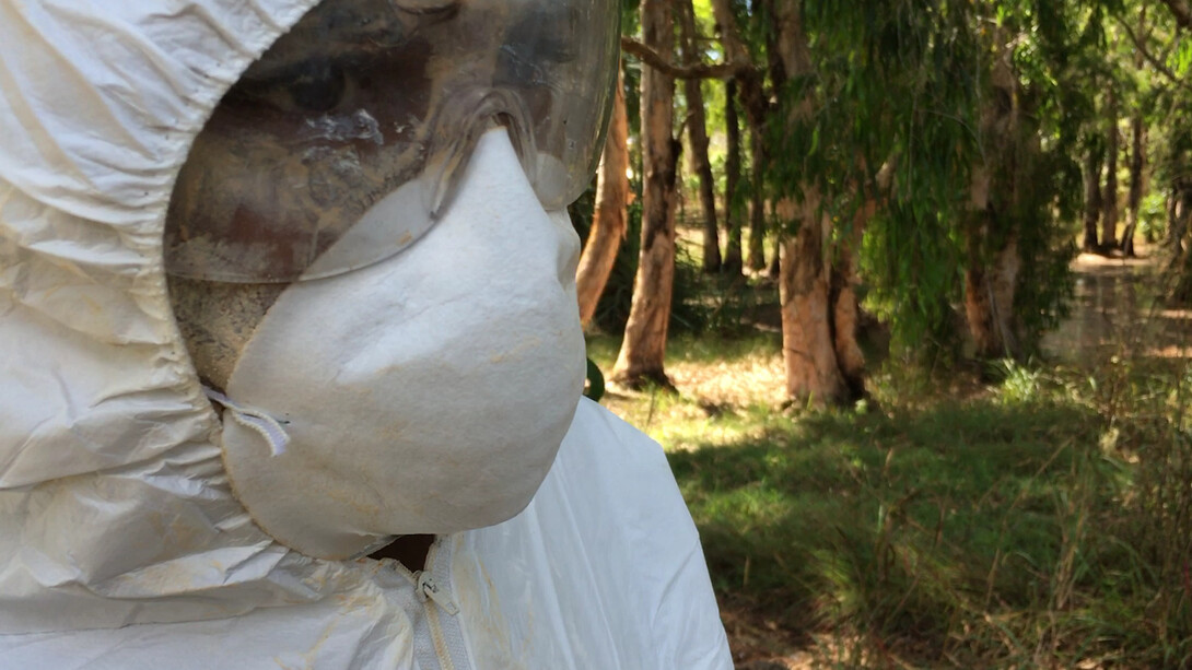 Karrabing Film Collective. Courtesy of IMA