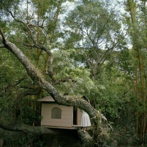 Kanako Sasaki,, As a Leaf, 2008, photography © Kanako Sasaki and APT Institute