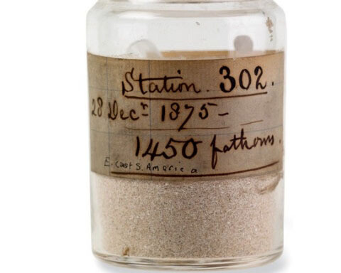 Mineralogy collections. Courtesy of Natural History Museum 