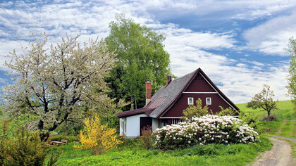 Es necesario aprender a leer lo que subyace bajo la polvareda