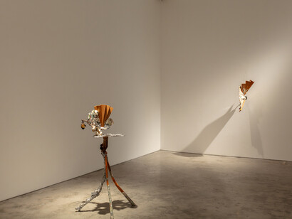 Yasue Maetake, Mare fecunditatis – resurrection, exhibition view. Courtesy of Silverlens Galleries