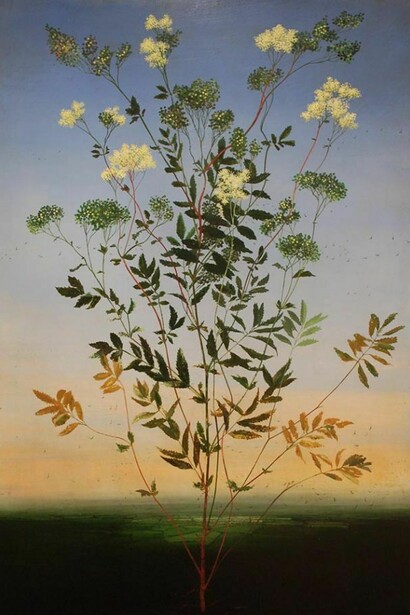 Michael Canning, Lucretia