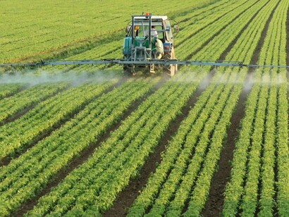 Pesticidas, productos con bromo, cloro, plomo... ¡nos están haciendo menos inteligentes!