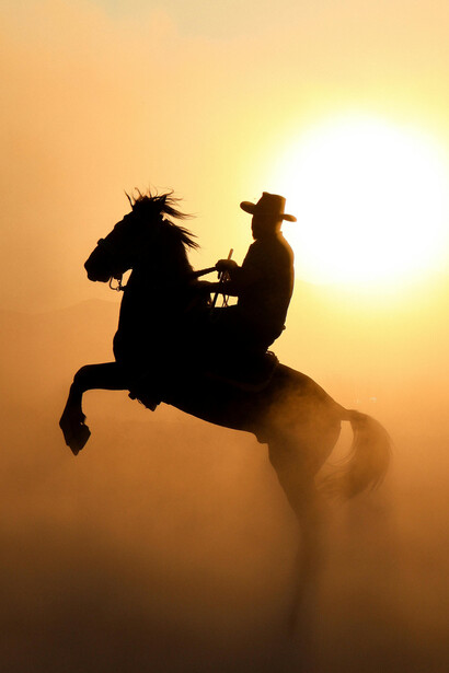 Horses know a princess when they see one