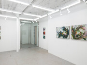 Michele Fletcher, Fooling linnaeus, exhibition view. Courtesy of Nicelle Beauchene Gallery 