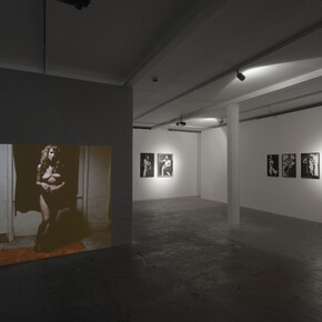 Stephen Dwoskin, 2015, Vilma Gold, London, installation view