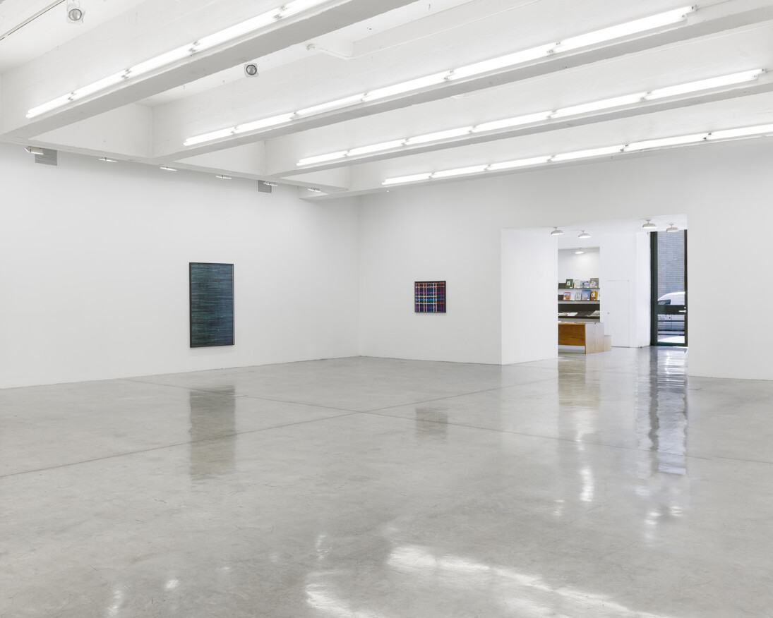 Lisa Oppenheim, Installation view of A Durable Web., Tanya Bonakdar Gallery, New York, September 7 – October 21, 2017.
Photo: Maris Hutchinson. Courtesy of the artist and Tanya Bonakdar Gallery, New York
