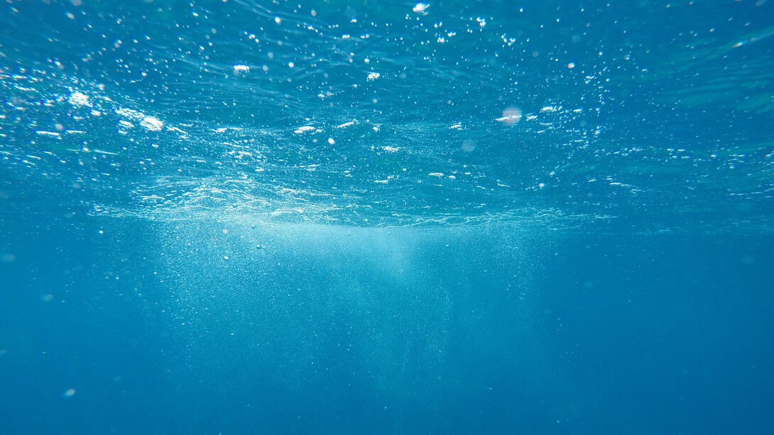 El cuerpo humano está constituido en un 70% por agua de mar isotónica