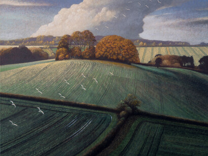 James Lynch, Seagulls, Brimble Lea Clump, 52 x 67 cm