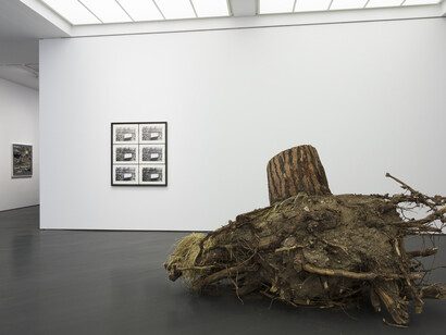 Christoph Keller, Hito Steyerl, Tao Hui. Courtesy of Esther Schipper