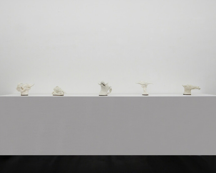 Museo di Storia Innaturale. Courtesy of Galleria Pack