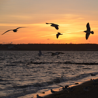 Volo con estrema naturalezza