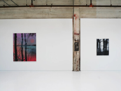 Birgit Jensen, A thousand echoes in my mind, exhibition view. Courtesy of Hosfelt Gallery