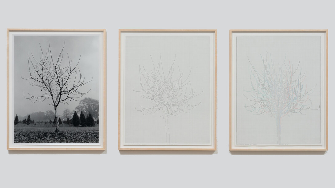 Charles Gaines, Walnut Tree Orchard, Set 4 (version 2), 1975–2014, Photograph, ink on paper, Triptych: 29 × 23 in. each; 31½ × 25½ × 1½ in. (framed). Courtesy the artist and Susanne Vielmetter Los Angeles Projects. Photo: Robert Wedemeyer