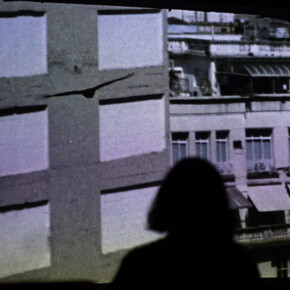 Luiz Roque, Urubu, vista della mostra. Cortesia della Pinacoteca