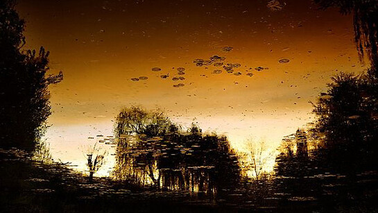 Elger Esser : Giverny VII, Frankreich, 2010, C-print, Aludibond/Forex, 184 x 233.4 x 4 cm (72.44 x 91.89 x 1.57 in), Courtesy Galerie Thaddaeus Ropac, Paris/Salzburg, photo: Philippe Servent
