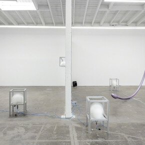 Maladapted. Courtesy of Baert Gallery