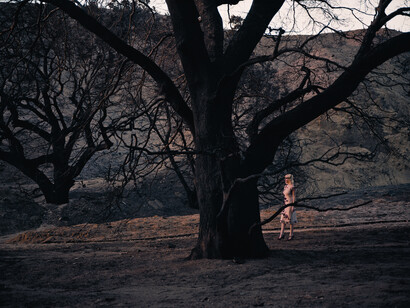 Philip-Lorca diCorcia, Lacy, 2008, Inkjet print, 40 x 60 inches (101.6 x 152.4 cm). Courtesy the artist and David Zwirner, New York/London