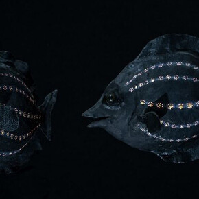 The world of Oceans. Courtesy of Haus der Natur 