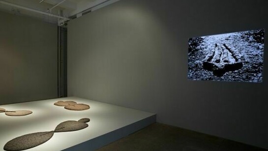 Ana Mendieta, Installation view