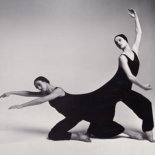 Not an Ostrich. Courtesy of Annenberg Space for Photography