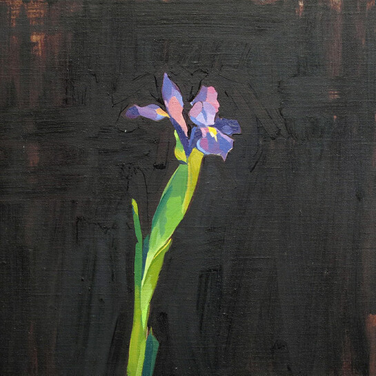 Lachlan Goudie, Japanese Iris, Oil on linen, 40 x 40 cm
