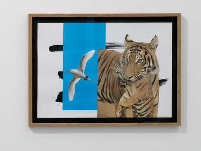 Helga Schmidhuber, Morpheus mango mau, exhibition view. Courtesy of Aoa;87 Gallery. Photo by Dotgain