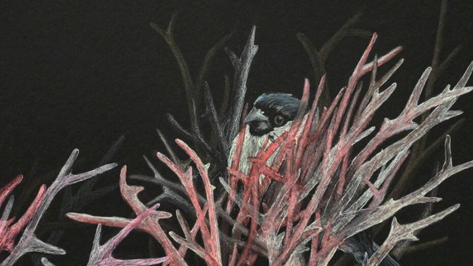 Resa Blatman. Courtesy of Childs Gallery