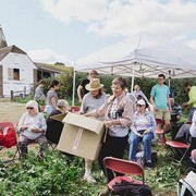 Hop-picking trip, 2018. Courtesy of Company Drinks, photo Nick Matthews