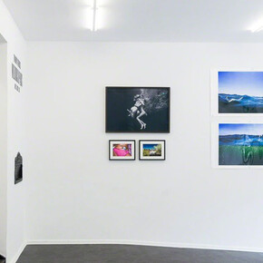 Tom Hoops. Courtesy of Magic Beans Gallery 