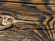 Il tronco di un albero, dopo infinite trasformazioni, poteva ultimare la sua esistenza anche dopo centinaia di anni di utilizzo, alimentando il fuoco necessario a cuocere una zuppa, per nutrire essere umani venuti al mondo molte generazioni dopo l’uomo che aveva tagliato l’albero per ricavarne il tronco