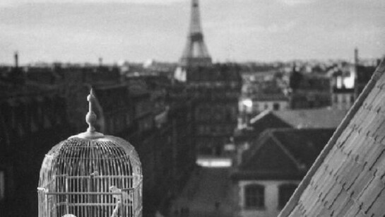 André Kertész, Rue de Vaugirard, 1931, Paris © Estate of André Kertész.