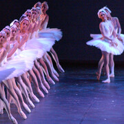 Il Lago dei Cigni. Per gentile concessione del Teatro Filarmonico di Verona. Foto di Brenzoni e Archivio Storico Fondazione Arena di Verona