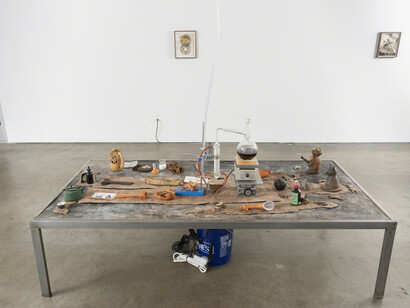 Candice Lin. Courtesy of François Ghebaly Gallery