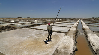 La vida de un trabajador de salinas es dura, con un salario diario de pocos cientos de rupias. Últimamente, la industria enfrenta problemas, muchos trabajadores prefieren trabajar en la construcción en lugar de trabajar en condiciones de alta salinidad durante un número considerable de horas diarias, es la conclusión de el propio análisis del mercado. Marakkanam, en Tamil Nadu, India