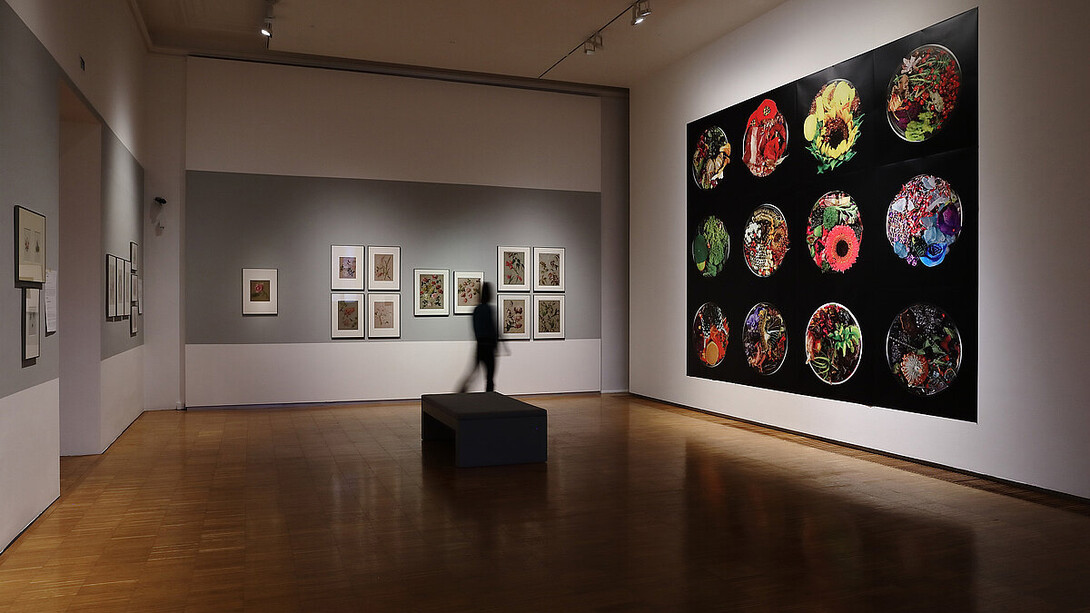 Analytical beauty. 200 years of flower paintings, exhibition view. Courtesy of Neue Galerie Graz