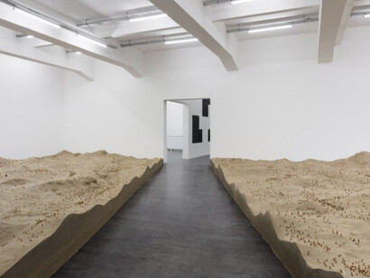 Gabriel Kuri. Courtesy of WIELS