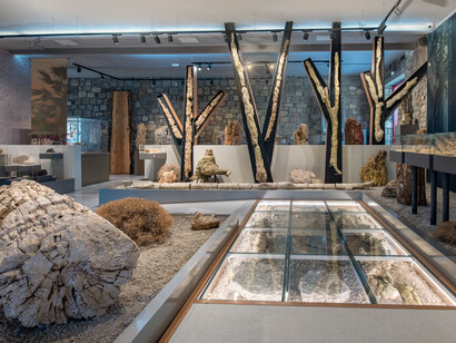 Exhibition of the Lesvos Petrified Forest, exhibition view. Courtesy of Natural History Museum of the Lesvos Petrified Forest