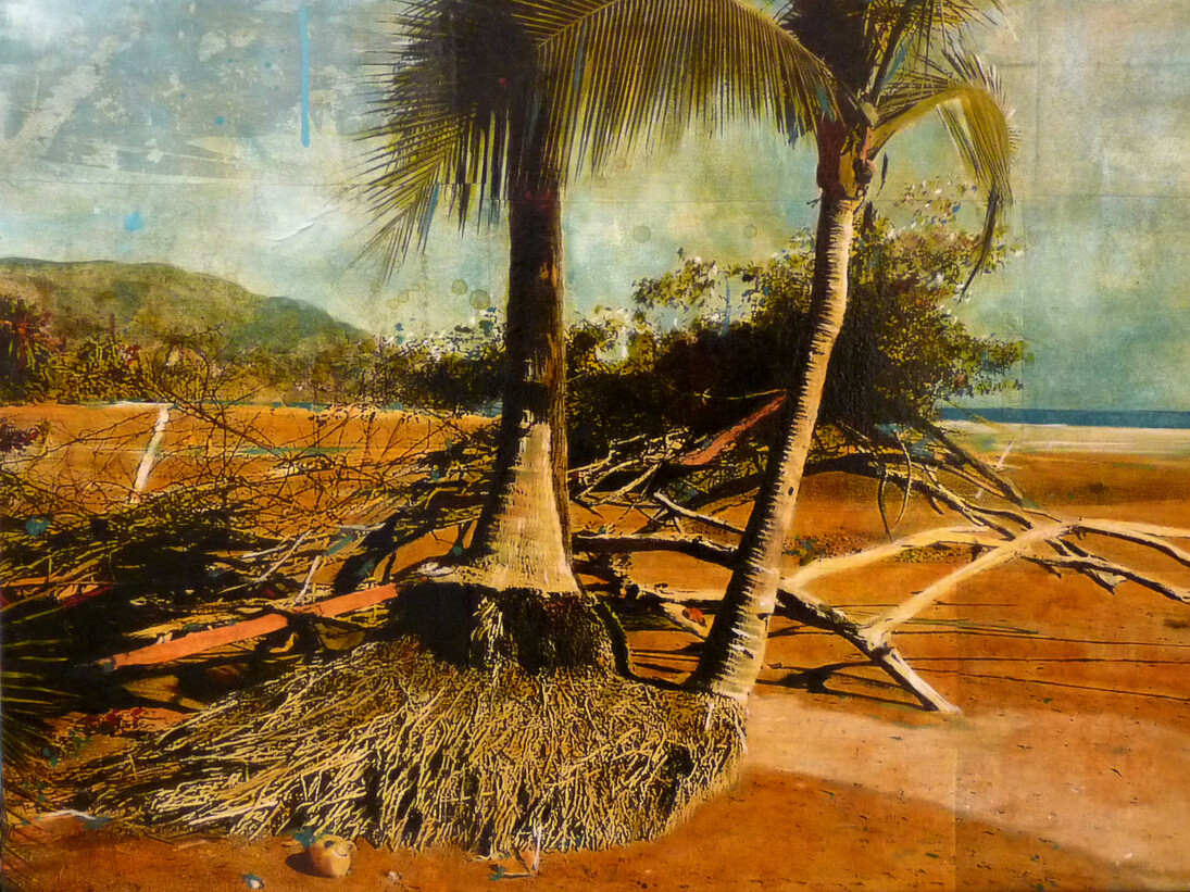 Ayline Olukman. Where the summer goes. Courtesy of Galeria Artima