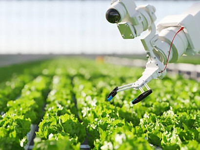 AI-powered hydroponic farming using smart technology—shaping the future of agriculture