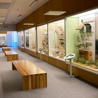 Birds of Latvia, exhibition view. Courtesy of the Latvian National Museum of Natural History