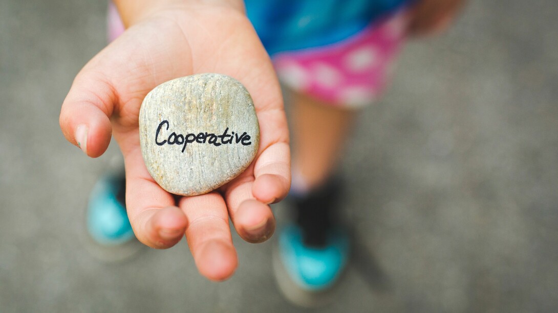 Despertar para uma nova consciência 