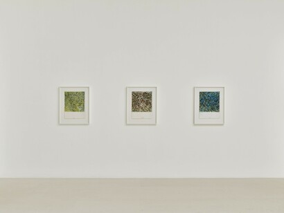 Brice Marden, Works on paper, vue d'exposition. Avec l'aimable autorisation de Gagosian