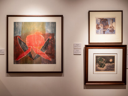 Various artists, Shared lives, distinct visions. Artist couples in India, exhibition view. Courtesy of DAG