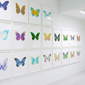 Damien Hirst. Courtesy of Samuel Owen Gallery