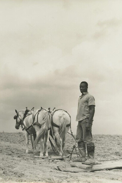 Jack Delano, Greene County, Georgia, 1941
Gelatin silver print, 9 x 6 7/8 in.
