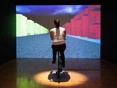Various artists, Univers programmés [Programmed universes], exhibition view. Courtesy of macLyon